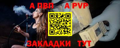 тгк Кингисепп