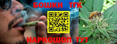 тгк Кингисепп