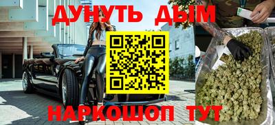 тгк Кингисепп