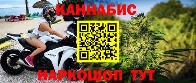 тгк Кингисепп