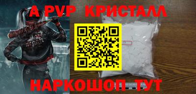тгк Кингисепп