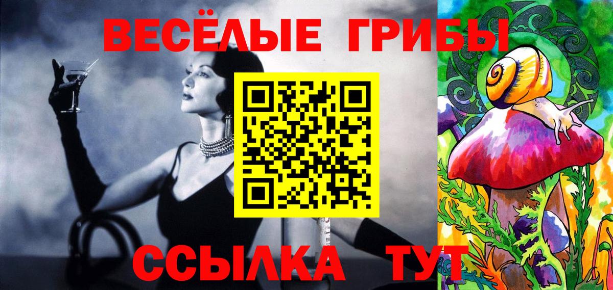 Галлюциногенные грибы ЛСД  Вход с VPN  Кострома  Галлюциногенные грибы Psilocybe 